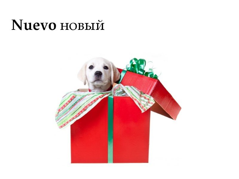 Nuevo новый
